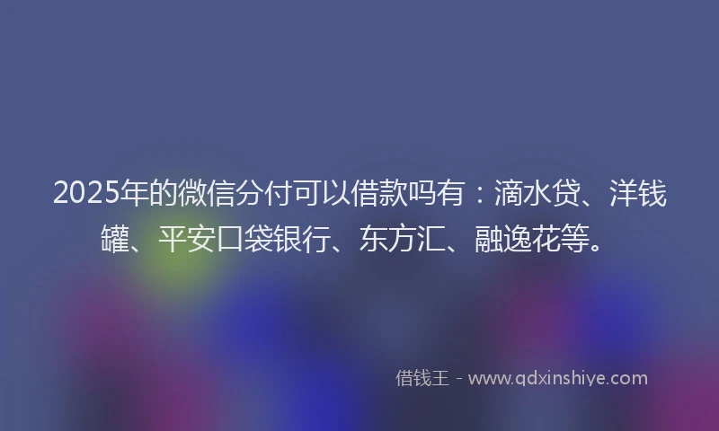 2025年的微信分付可以借款吗有：滴水贷、洋钱罐、平安口袋银行、东方汇、融逸花等。