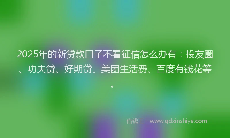 2025年的新贷款口子不看征信怎么办有：投友圈、功夫贷、好期贷、美团生活费、百度有钱花等。