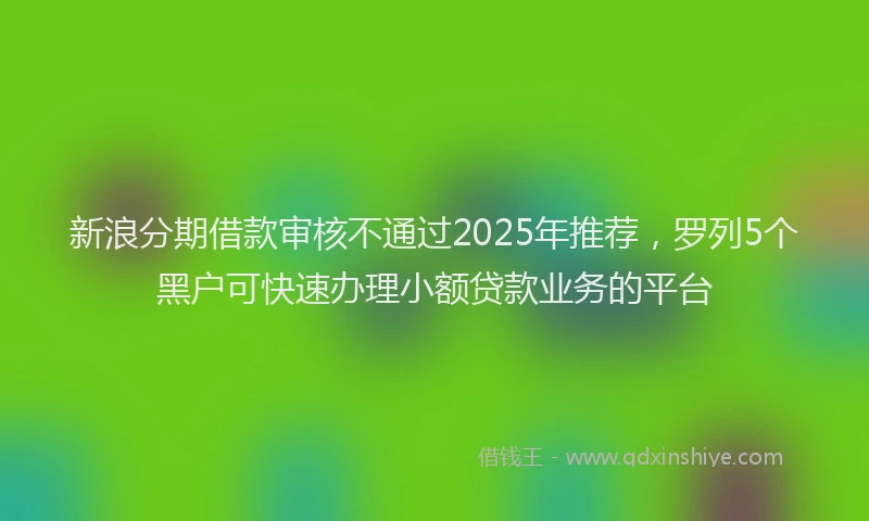 新浪分期借款审核不通过2025年推荐，罗列5个黑户可快速办理小额贷款业务的平台