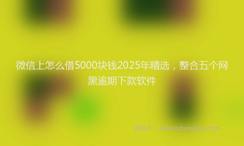 微信上怎么借5000块钱2025年精选，整合五个网黑逾期下款软件