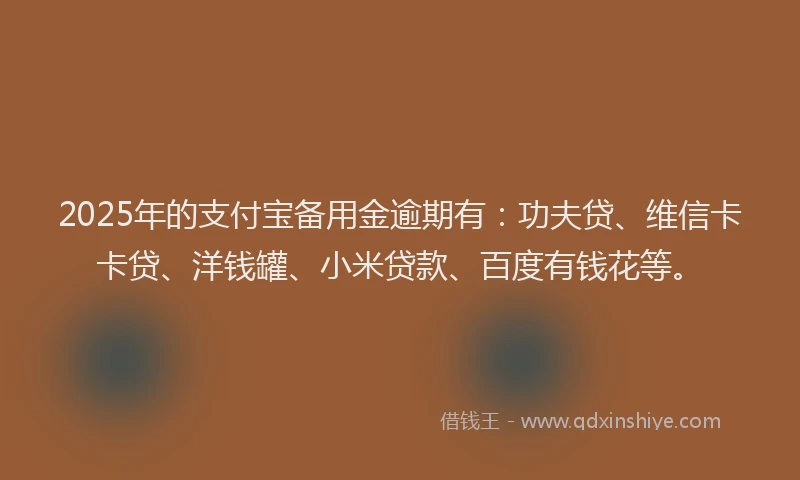 2025年的支付宝备用金逾期有：功夫贷、维信卡卡贷、洋钱罐、小米贷款、百度有钱花等。
