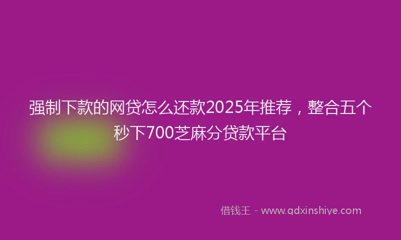 强制下款的网贷怎么还款2025年推荐，整合五个秒下700芝麻分贷款平台