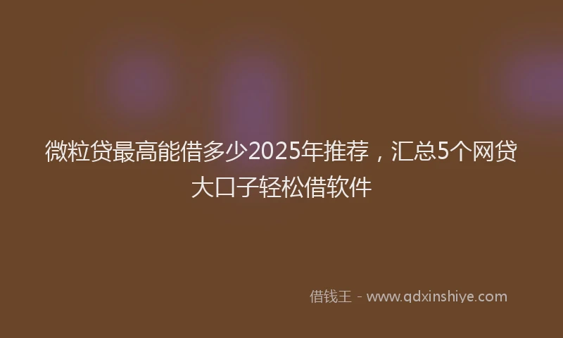 微粒贷最高能借多少2025年推荐，汇总5个网贷大口子轻松借软件