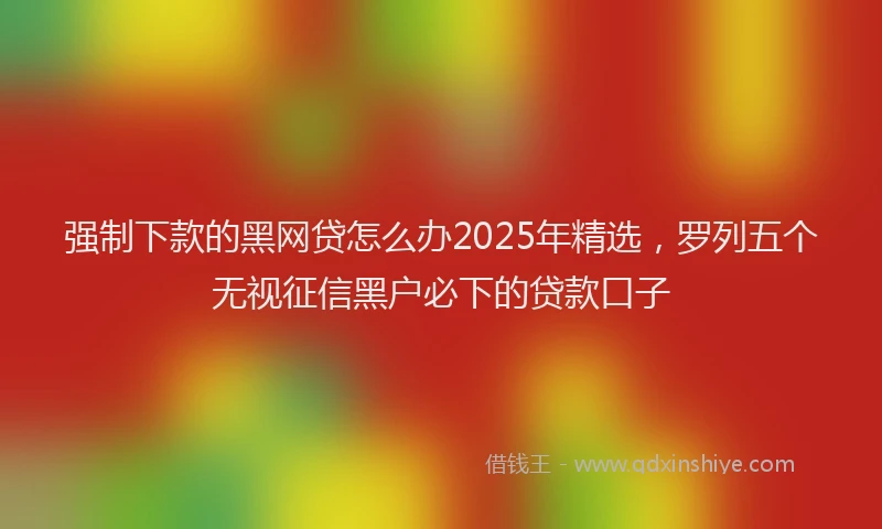 强制下款的黑网贷怎么办2025年精选，罗列五个无视征信黑户必下的贷款口子