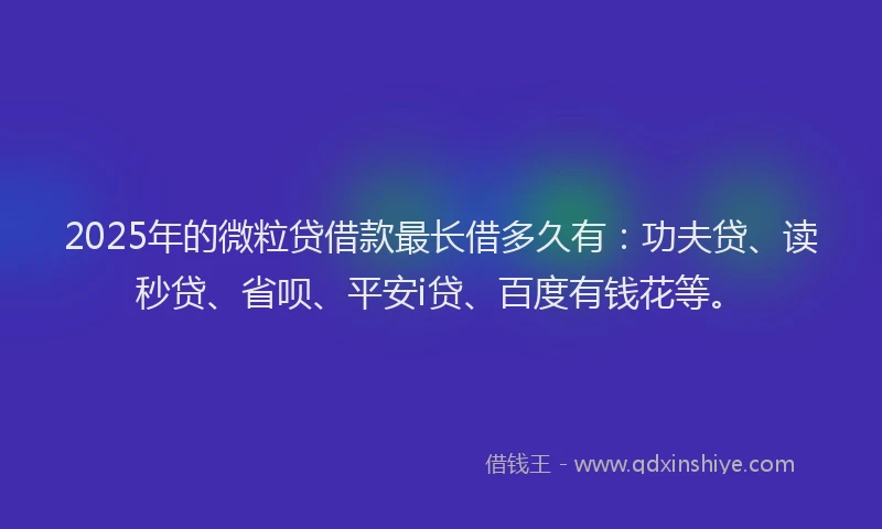 2025年的微粒贷借款最长借多久有：功夫贷、读秒贷、省呗、平安i贷、百度有钱花等。