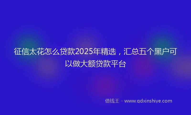 征信太花怎么贷款2025年精选，汇总五个黑户可以做大额贷款平台