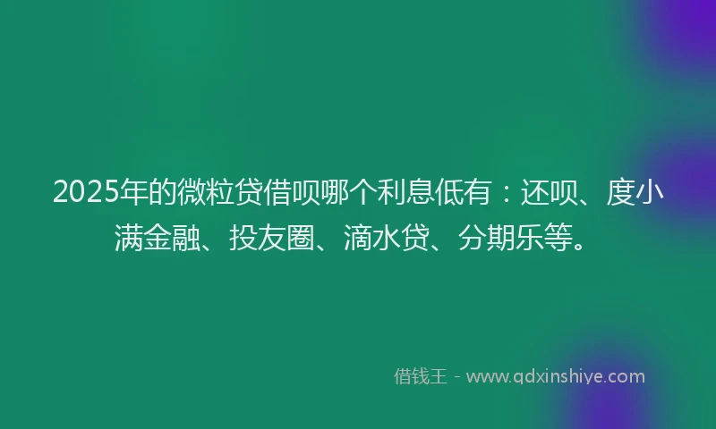 2025年的微粒贷借呗哪个利息低有：还呗、度小满金融、投友圈、滴水贷、分期乐等。