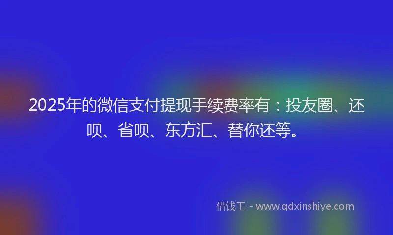 2025年的微信支付提现手续费率有：投友圈、还呗、省呗、东方汇、替你还等。