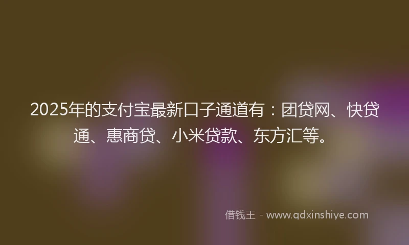 2025年的支付宝最新口子通道有：团贷网、快贷通、惠商贷、小米贷款、东方汇等。