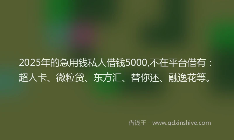 2025年的急用钱私人借钱5000,不在平台借有：超人卡、微粒贷、东方汇、替你还、融逸花等。