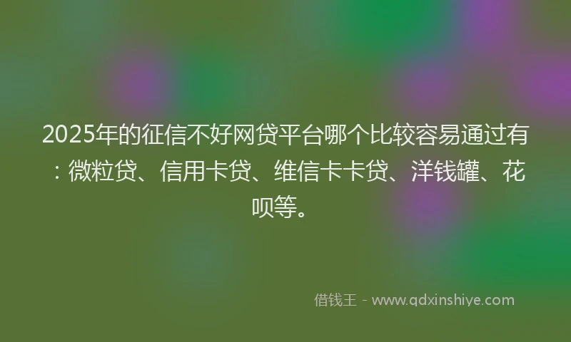 2025年的征信不好网贷平台哪个比较容易通过有：微粒贷、信用卡贷、维信卡卡贷、洋钱罐、花呗等。