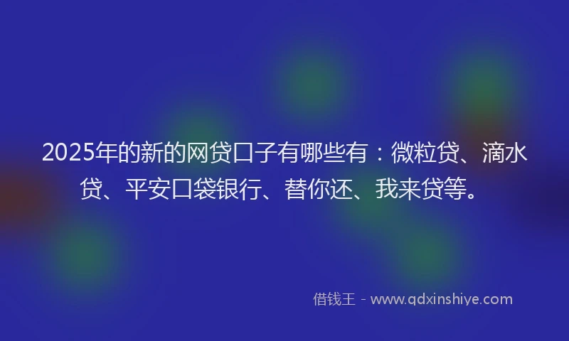 2025年的新的网贷口子有哪些有：微粒贷、滴水贷、平安口袋银行、替你还、我来贷等。