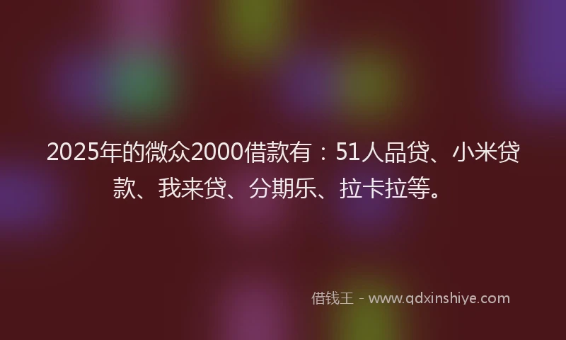 2025年的微众2000借款有：51人品贷、小米贷款、我来贷、分期乐、拉卡拉等。