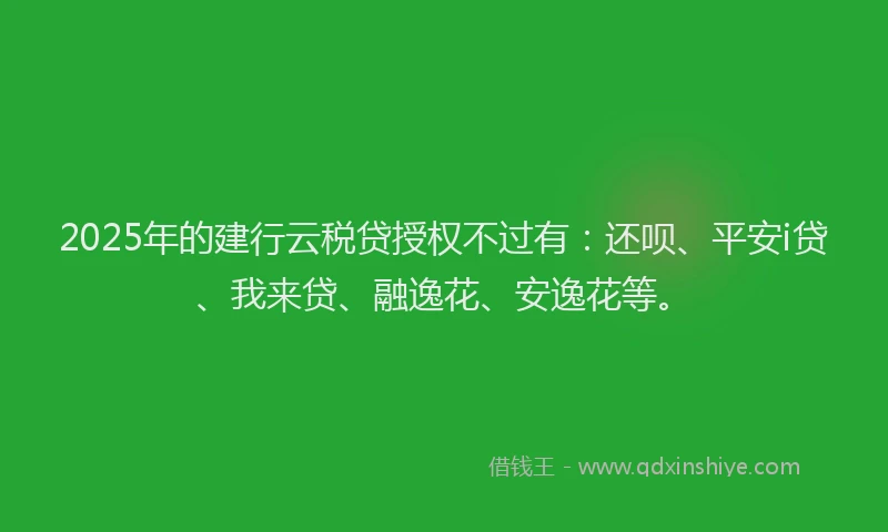 2025年的建行云税贷授权不过有：还呗、平安i贷、我来贷、融逸花、安逸花等。