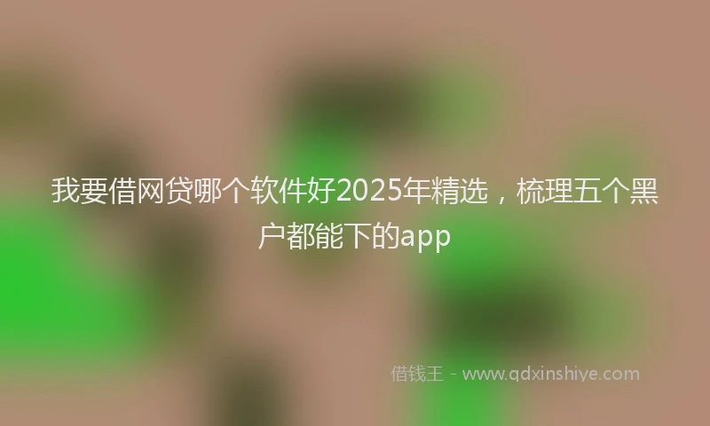 我要借网贷哪个软件好2025年精选，梳理五个黑户都能下的app