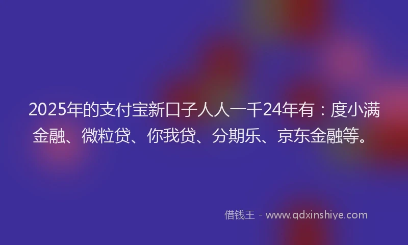 2025年的支付宝新口子人人一千24年有：度小满金融、微粒贷、你我贷、分期乐、京东金融等。