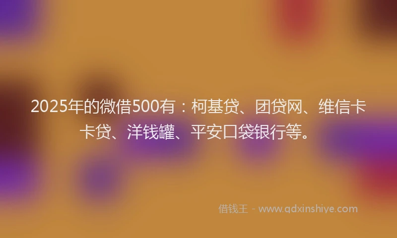 2025年的微借500有：柯基贷、团贷网、维信卡卡贷、洋钱罐、平安口袋银行等。