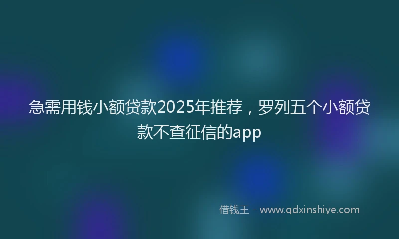 急需用钱小额贷款2025年推荐，罗列五个小额贷款不查征信的app