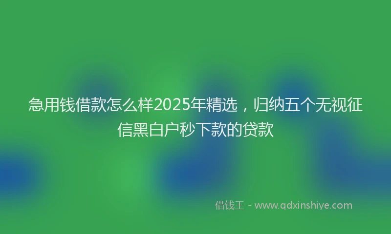 急用钱借款怎么样2025年精选，归纳五个无视征信黑白户秒下款的贷款