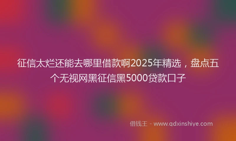 征信太烂还能去哪里借款啊2025年精选，盘点五个无视网黑征信黑5000贷款口子