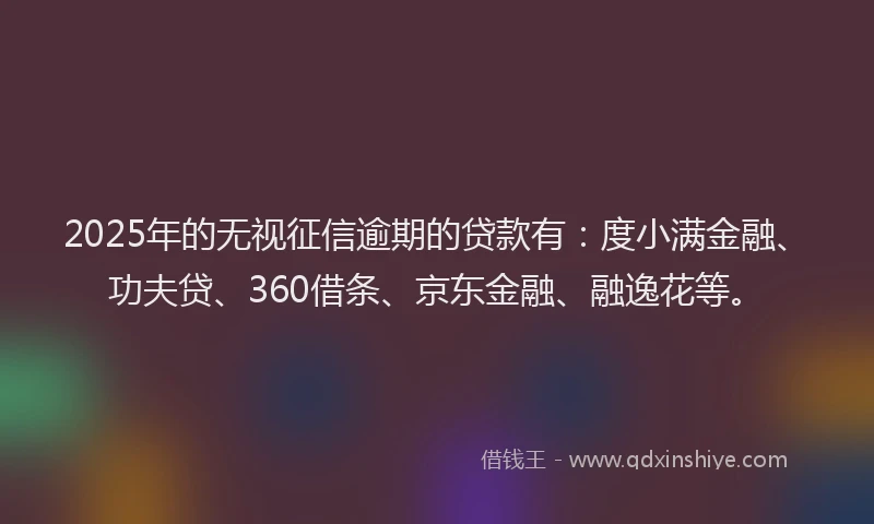 2025年的无视征信逾期的贷款有：度小满金融、功夫贷、360借条、京东金融、融逸花等。