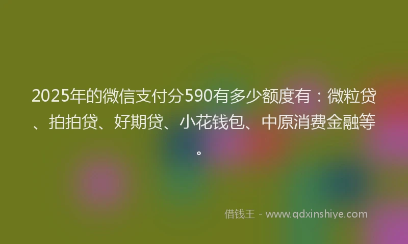 2025年的微信支付分590有多少额度有：微粒贷、拍拍贷、好期贷、小花钱包、中原消费金融等。