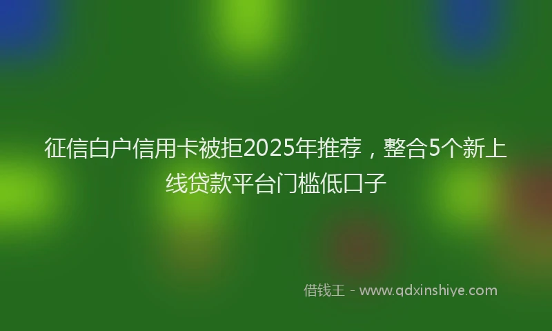 征信白户信用卡被拒2025年推荐，整合5个新上线贷款平台门槛低口子