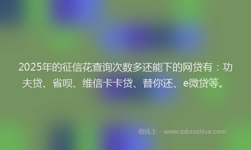 2025年的征信花查询次数多还能下的网贷有：功夫贷、省呗、维信卡卡贷、替你还、e微贷等。