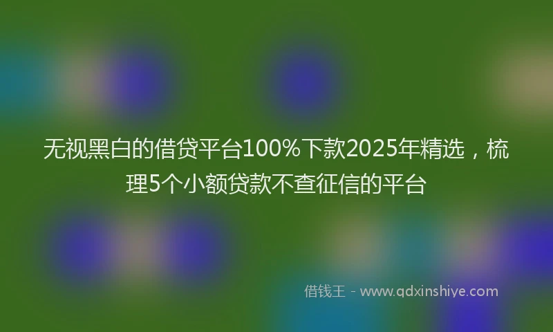 无视黑白的借贷平台100%下款2025年精选，梳理5个小额贷款不查征信的平台
