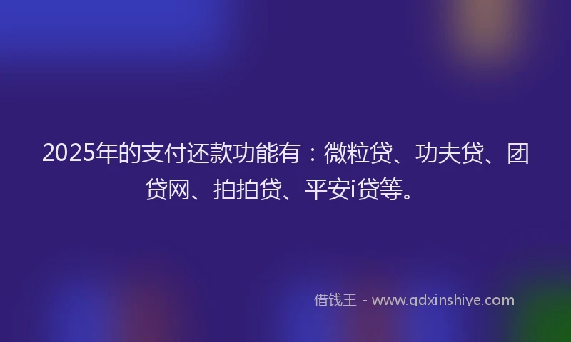 2025年的支付还款功能有：微粒贷、功夫贷、团贷网、拍拍贷、平安i贷等。