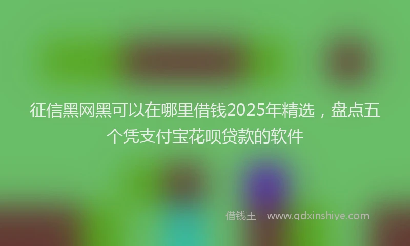 征信黑网黑可以在哪里借钱2025年精选，盘点五个凭支付宝花呗贷款的软件