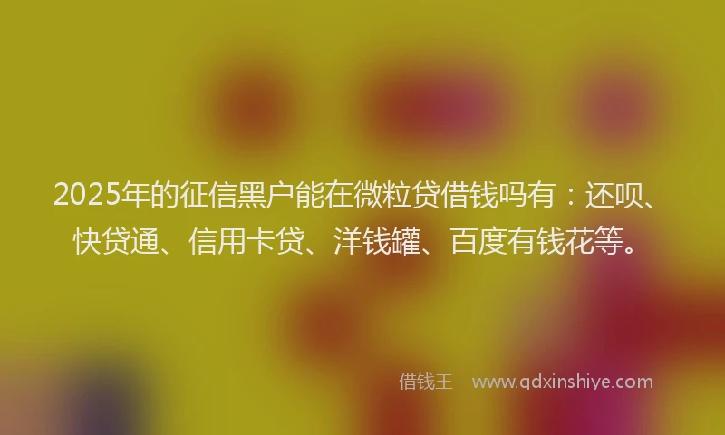 2025年的征信黑户能在微粒贷借钱吗有：还呗、快贷通、信用卡贷、洋钱罐、百度有钱花等。