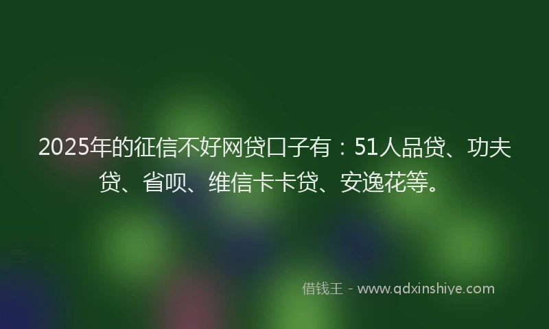 2025年的征信不好网贷口子有：51人品贷、功夫贷、省呗、维信卡卡贷、安逸花等。