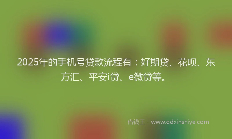 2025年的手机号贷款流程有：好期贷、花呗、东方汇、平安i贷、e微贷等。