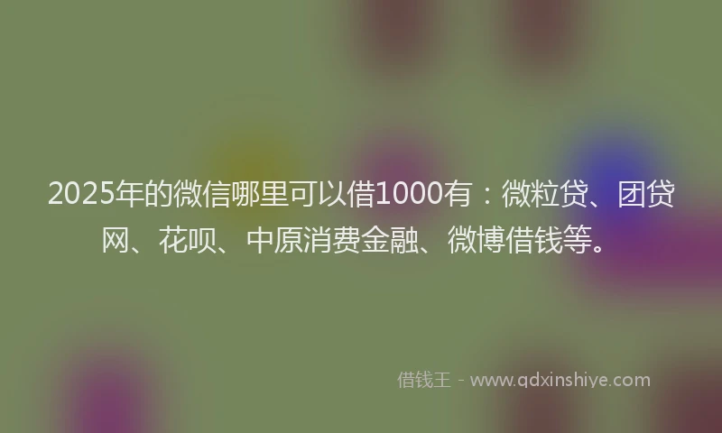 2025年的微信哪里可以借1000有：微粒贷、团贷网、花呗、中原消费金融、微博借钱等。