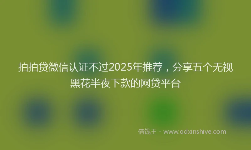 拍拍贷微信认证不过2025年推荐，分享五个无视黑花半夜下款的网贷平台