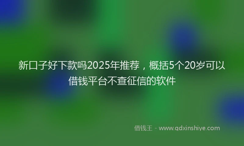 新口子好下款吗2025年推荐，概括5个20岁可以借钱平台不查征信的软件