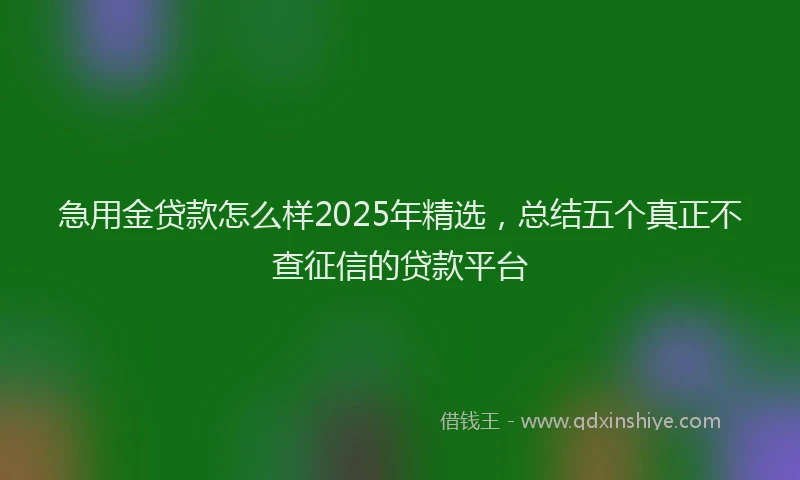 急用金贷款怎么样2025年精选，总结五个真正不查征信的贷款平台