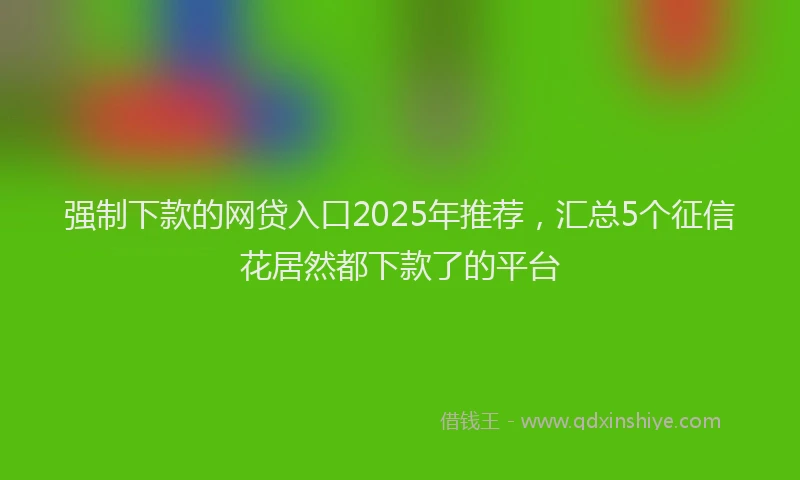 强制下款的网贷入口2025年推荐，汇总5个征信花居然都下款了的平台
