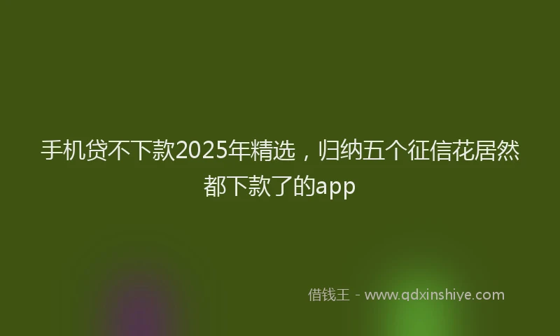 手机贷不下款2025年精选，归纳五个征信花居然都下款了的app