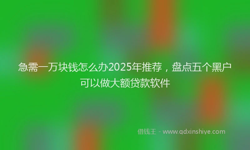 急需一万块钱怎么办2025年推荐，盘点五个黑户可以做大额贷款软件