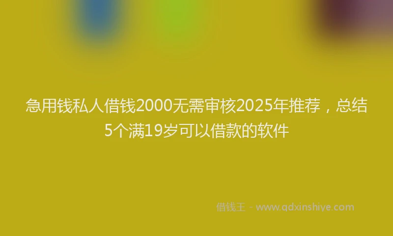 急用钱私人借钱2000无需审核2025年推荐，总结5个满19岁可以借款的软件