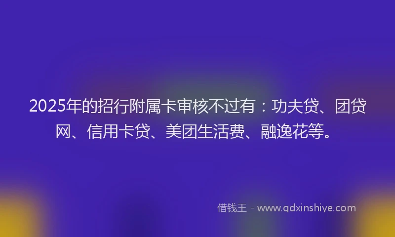 2025年的招行附属卡审核不过有：功夫贷、团贷网、信用卡贷、美团生活费、融逸花等。