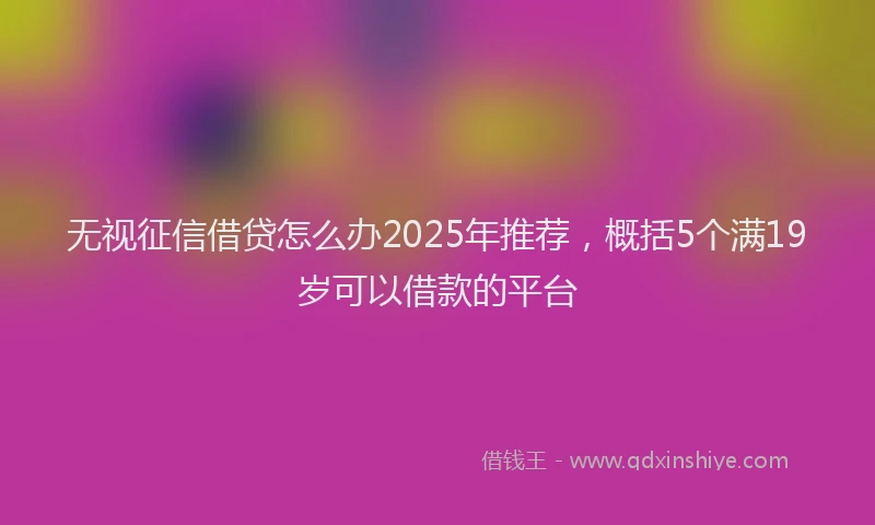 无视征信借贷怎么办2025年推荐，概括5个满19岁可以借款的平台