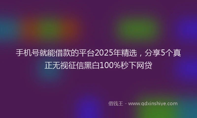 手机号就能借款的平台2025年精选，分享5个真正无视征信黑白100%秒下网贷