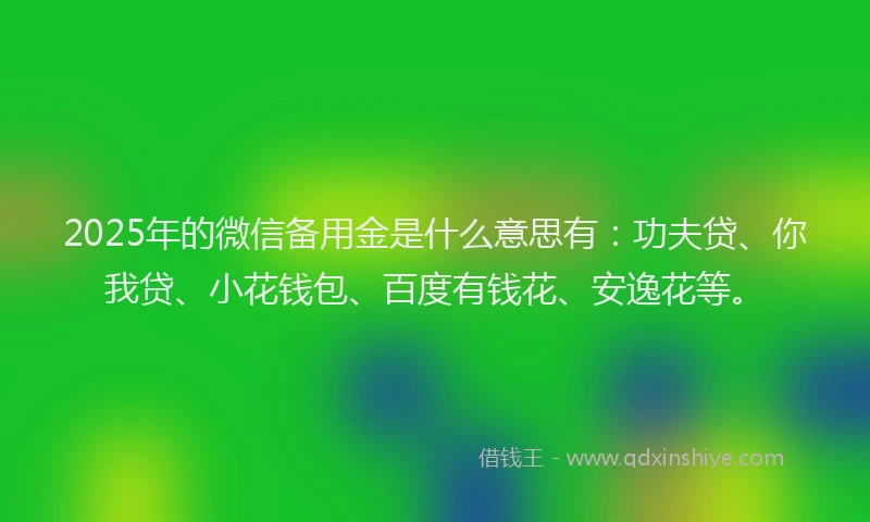 2025年的微信备用金是什么意思有：功夫贷、你我贷、小花钱包、百度有钱花、安逸花等。
