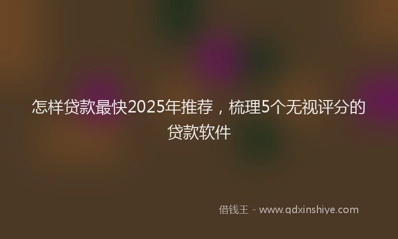 怎样贷款最快2025年推荐，梳理5个无视评分的贷款软件