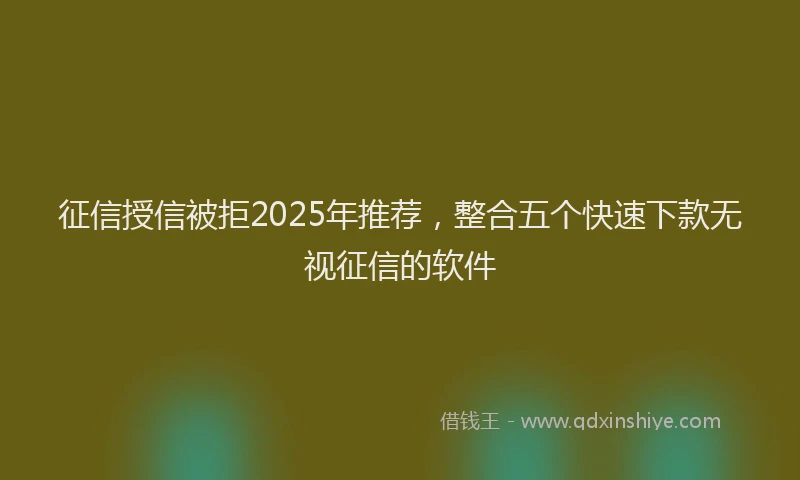 征信授信被拒2025年推荐，整合五个快速下款无视征信的软件