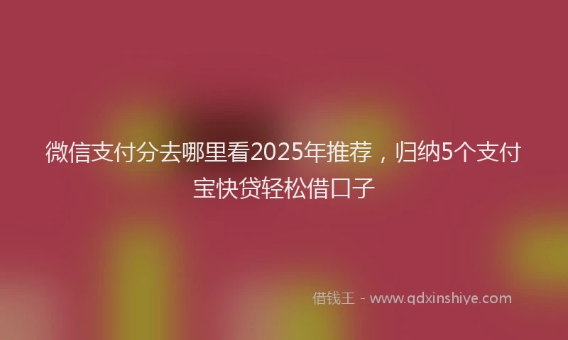 微信支付分去哪里看2025年推荐，归纳5个支付宝快贷轻松借口子