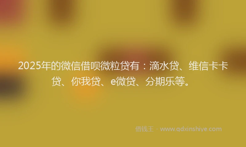 2025年的微信借呗微粒贷有：滴水贷、维信卡卡贷、你我贷、e微贷、分期乐等。